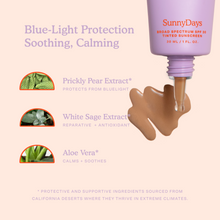 SunnyDays SPF 30 Tinted Sunscreen